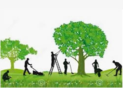PERSONAL TOUCH TREE & LAWN SERVICES