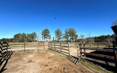 Equestrian Lifestyle: Lease Your Dream Property Today!